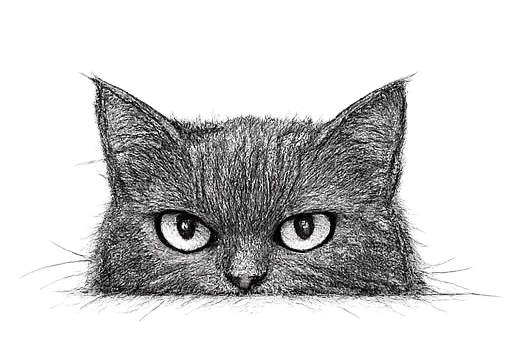 Illustration of a cat peeking up